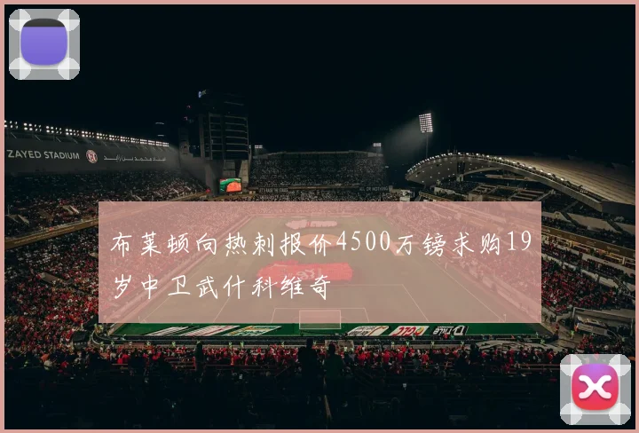 布莱顿向热刺报价4500万镑求购19岁中卫武什科维奇